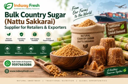 Wholesale Himalayan salt supplier in India offering fine, medium, coarse and extra coarse grades with bulk pricing and pack options